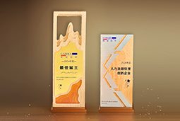 z6com时凯集团国际一举斩获“2024年度中国区最佳雇主”等多项大奖